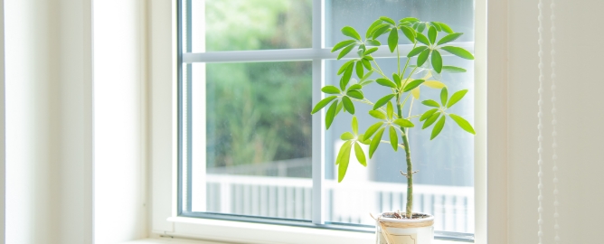 YKK APW